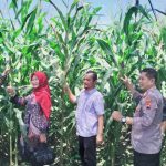 PT Syngenta dan Srikandi NK Bikin Acara Kartinian di Klaten, Kepala DKPP Berharap Ini