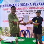 Kerjasama Dengan Koperasi Jatam dan MPM, PRM Basin Pilot Project Budi Daya Pepaya Hawai