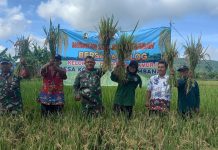 Kualitas Gabah Turun Karena Cuaca, Petani di Klaten Tertolong Program Sergab Perum Bulog
