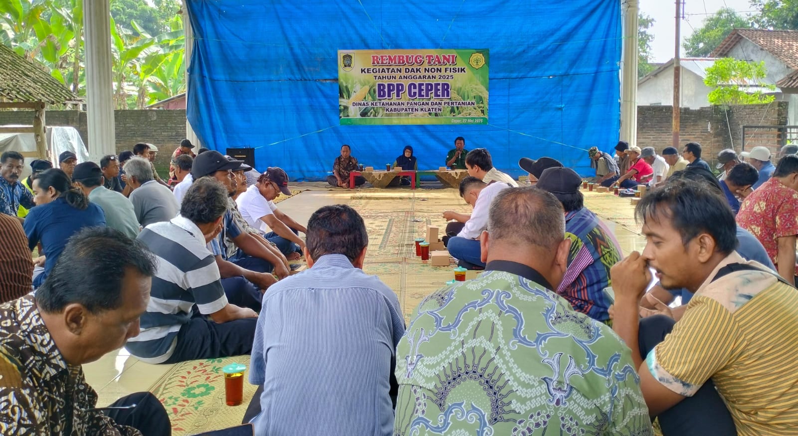 Rembug Tani BPP Ceper, Produksi Padi Turun 30% Karena Serangan Hama Yang Masif