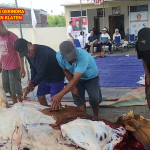 Terus Berdampak, DPC Partai Gerindra Klaten Bagikan Ratusan Paket Daging Kurban Kepada Masyarakat